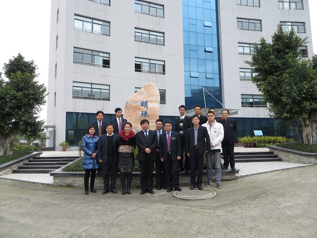 重慶明珠機(jī)電營銷管控體系項(xiàng)目